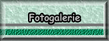 Unsere Fotogalerie